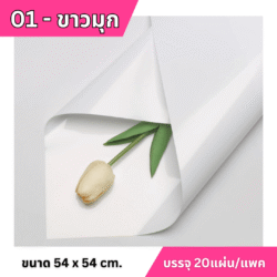 กระดาษห่อช่อสีพื้น อุปกรณ์จัดดอกไม้ราชบุรี